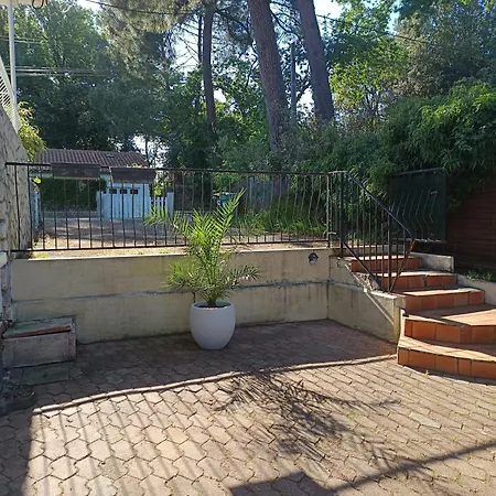 L'harmonie A 2 Pas De La - 2 - Terrasse Daire